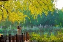 2021国产麻豆剧传媒精品-2021国产麻豆剧新视界，传媒精品的风向标