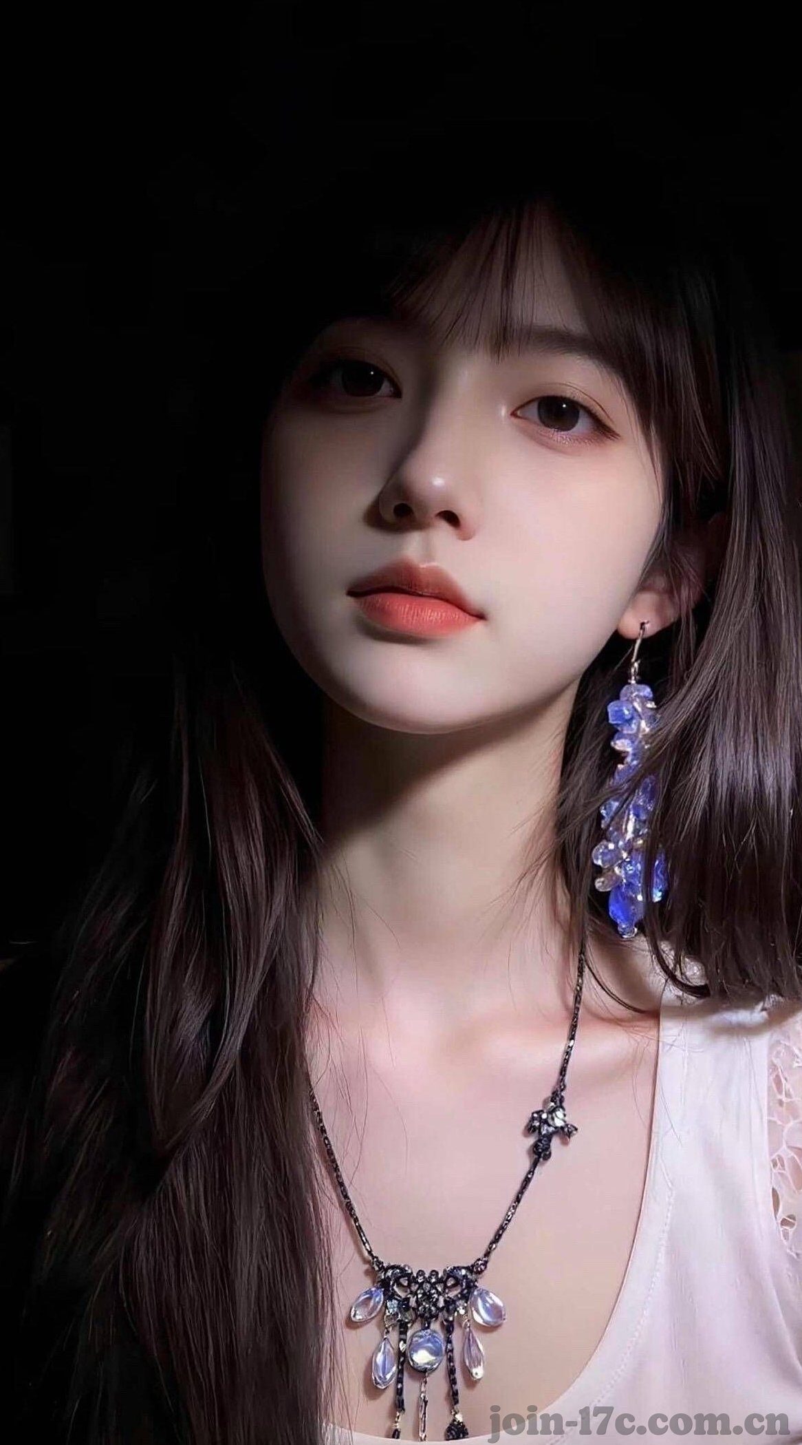 大象传媒回家网址-探索大象传媒的回家之旅，网络文化的温馨归宿