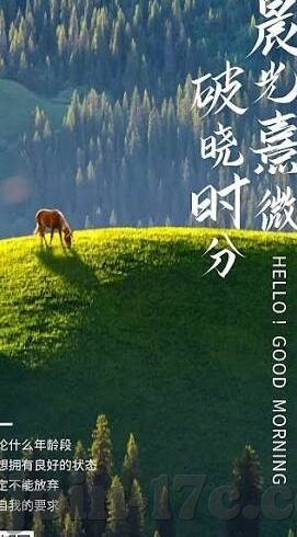 麻豆app电脑版下载-麻豆app电脑版下载——提升数字娱乐体验的便捷之选