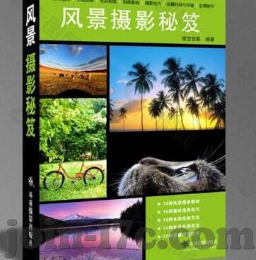 麻豆经济app是干什么的-麻豆经济——探索数字时代的创意生活平台