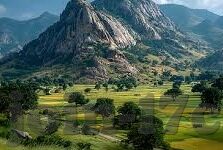 所有香港伦理-透视香港伦理的多元维度