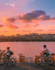 糖心视频app下载网页-揭秘糖心视频app下载——如何安全获取与合法使用的深度指南