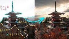 糖心直播app官网入口-科技与生活的交织，探寻网络直播新潮流——糖心直播app